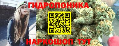 ПСИЛОЦИБИНОВЫЕ ГРИБЫ Берёзовский